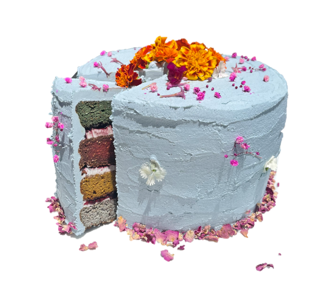 RAINBOW CAKE WITH PINK OR BLUE ICING- LOWER CARB