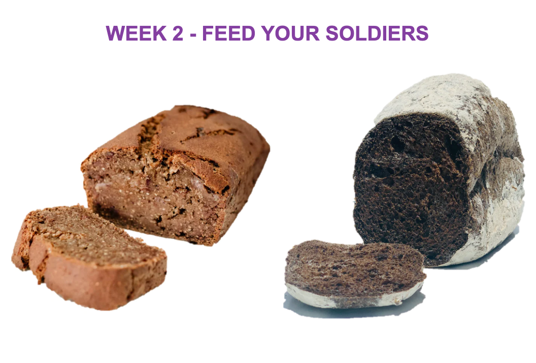 WEEK 2 - FEED YOUR SOLDIERS