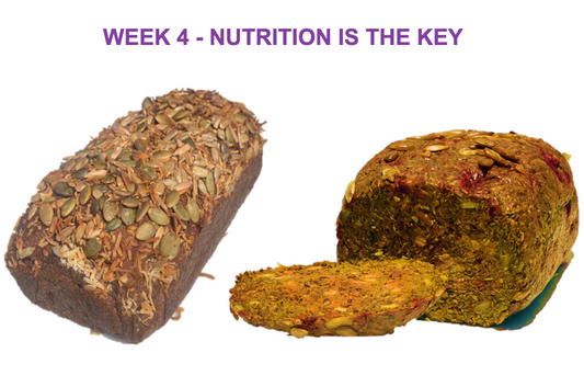 WEEK 4 - NUTRITION IS THE KEY