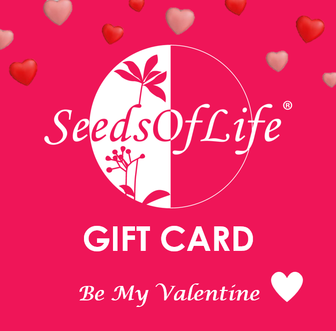 BE MY VALENTINE GIFT CARD